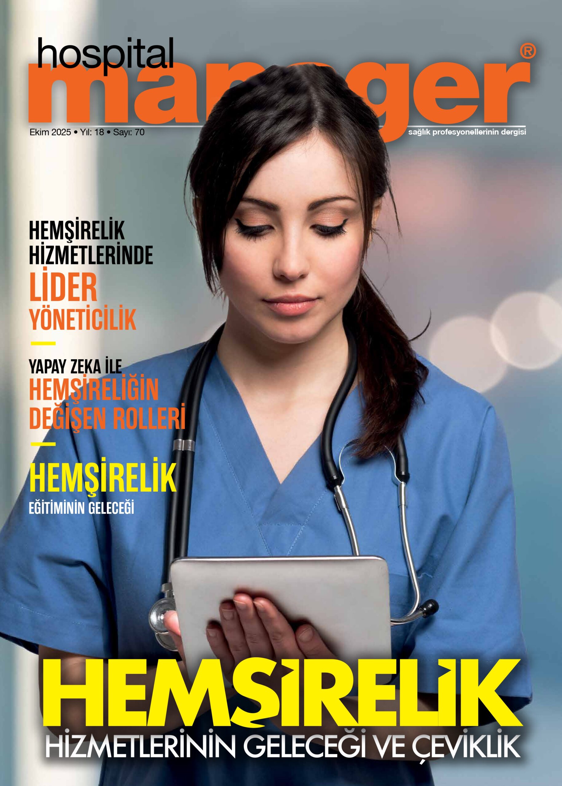 Hemşirelik sayısı